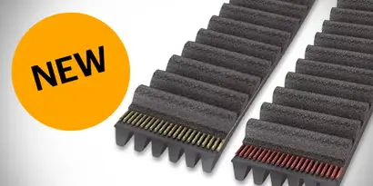 Conti Synchroforce Rib Advance | Advance Pro (8M)