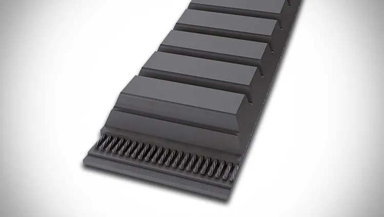 Conti VX Varispeed